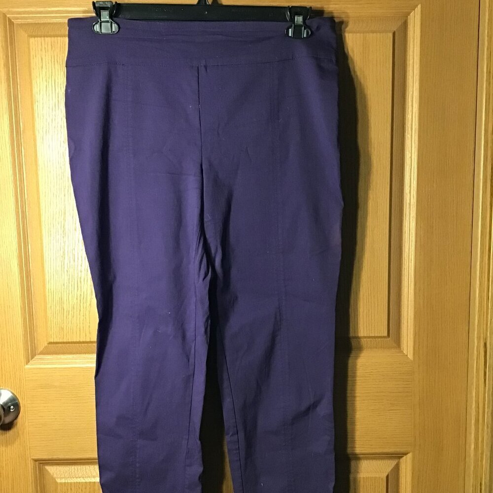 Zac & Rachel Ankle Pants